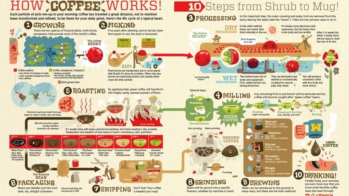 A Economia do Café: Do Grão à Xícara, o Impacto Bilionário de uma Paixão Global